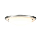 Paulmann WallCeiling Arctus IP44 max.60W E27 275mm Eisen geb/Opak 230V Metall/Glas