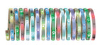 Paulmann Function Digital LED Strip Set 5m RGB 14W 230/12V 24VA Weiß Kunststoff