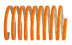 Paulmann Function YourLED Basisset DECO 3m Neon Orange WW 7,2W 230/12V 18VA Weiß Kst