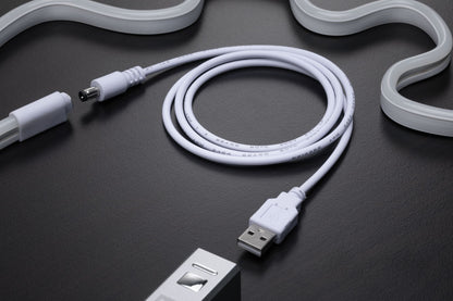 Paulmann Neon Colorflex USB Strip Green 1m 4,5W 5V Grün/Weiß Kunststoff