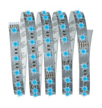 Paulmann Function MaxLED RGB Basisset 1,5m 20W 230/24V 36VA Silber