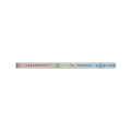 Paulmann Function MaxLED RGB Strip 1m 13,5W 24V Silber Kst
