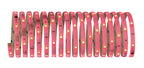 Paulmann Function Digital LED Strip Set 4,8m 12V RGB+W 18,8W 230/12V 24A Ws Kst