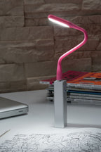 Paulmann Function USB-Leuchte TB Tageslichtweiß 0,5W 5V Pink Kunststoff
