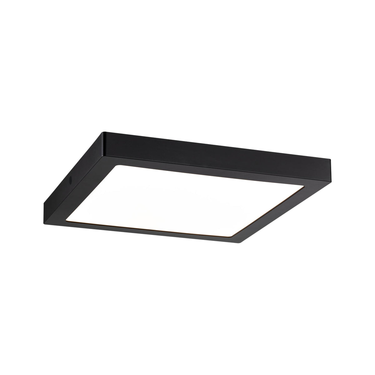 Paulmann WallCeiling Abia LED-Panel 300x300mm 22W Schwarz matt 230V Kunststoff