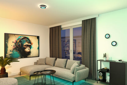 Paulmann LED Deckenleuchte Spaceglow RGB+ 1200lm 230V 14W dimmbar Schwarz matt