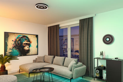 Paulmann LED Deckenleuchte Spaceglow RGB+ 320lm / 800lm 230V 22W dimmbar Schwarz matt