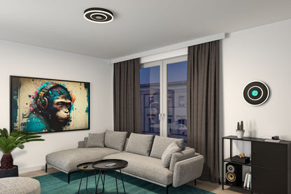 Paulmann LED Deckenleuchte Spaceglow RGB+ 320lm / 800lm 230V 22W dimmbar Schwarz matt
