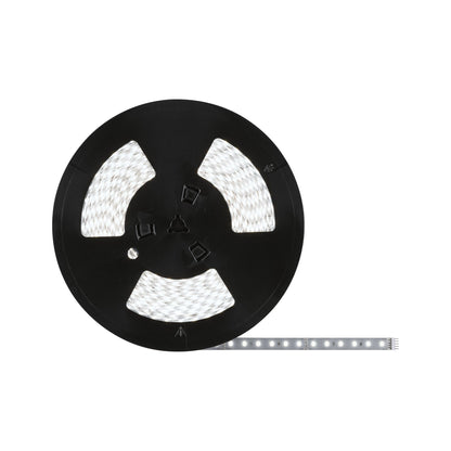Paulmann MaxLED 500 Strip inkl. Adapterkabel 20m Tageslichtweiß unbeschichtet