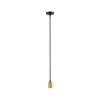 Paulmann Pendelleuchte Ravi IP44 E27   max. 60W Schwarz matt#Gold dimmbar