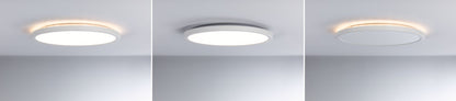 Paulmann LED Panel Atria Shine rund 290mm  19W / 2W 2400lm / 150lm 3000K Weiß