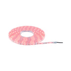 Paulmann LED Stripe Solar  10m  IP44 3,8W 30lm/m 60 LEDs/m RGB