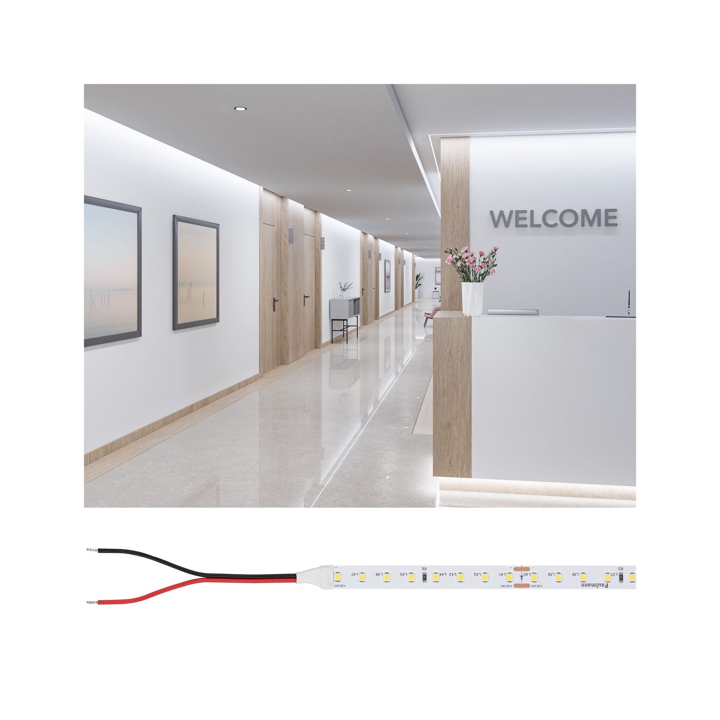 Paulmann Pro Strip LED Strip Gold P75 965 5m   30W 790lm/m 96 LEDs/m 6500K