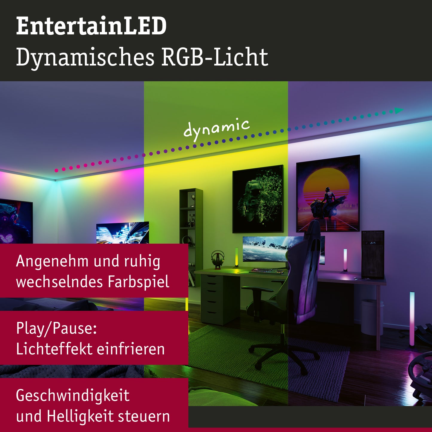 Paulmann LED Stripe Dynamic 3m   5W  60LEDs/m RGB+ 10VA