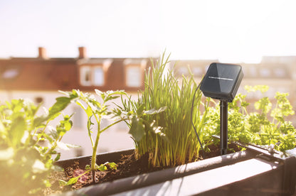 Paulmann Solar LED Stripe mit Dämmerungssensor IP44 3m RGB 0,3W   Schwarz