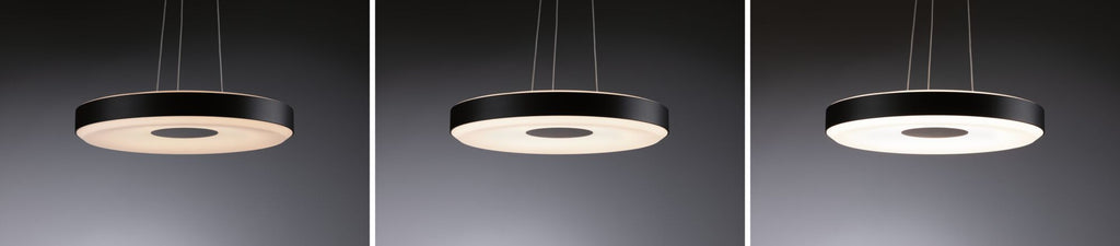Paulmann LED Pendelleuchte Puric Pane 2700K 2x1100lm 2x22W Schwarz,Grau