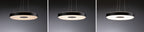 Paulmann LED Pendelleuchte Puric Pane 2700K 2x1100lm 2x22W Schwarz,Grau