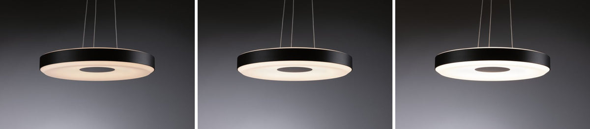 Paulmann LED Pendelleuchte Puric Pane 2700K 2x1100lm 2x22W Schwarz,Grau