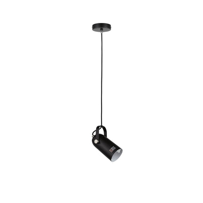 Paulmann Neordic Lavea Pendelleuchte max. 1x15W E27 Schwarz 230V Metall