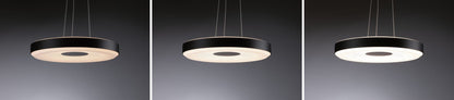 Paulmann LED Pendelleuchte Puric Pane    2700K 1.200lm / 700lm 11 / 1x7W Schwarz,Grau dimmbar