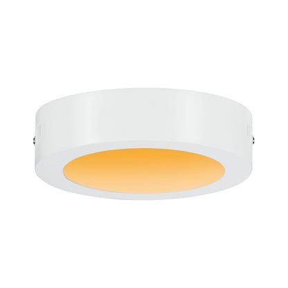 Paulmann LED Panel Carpo rund 170mm 10,2W 2.300K Weiß matt