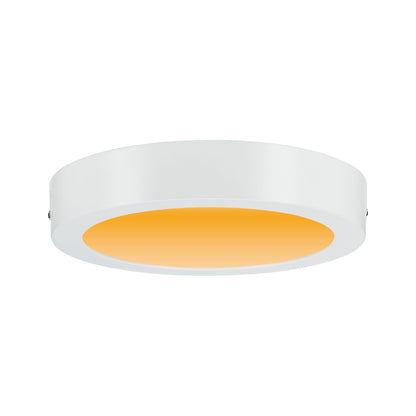 Paulmann LED Panel Carpo rund 225mm 13W 2.300K Weiß matt
