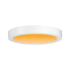 Paulmann LED Panel Carpo rund 300mm 16W 2.300K Weiß matt