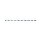 Paulmann MaxLED 250 Stripe 1m Daylight IP20 6500K 4W 230/24V Silber