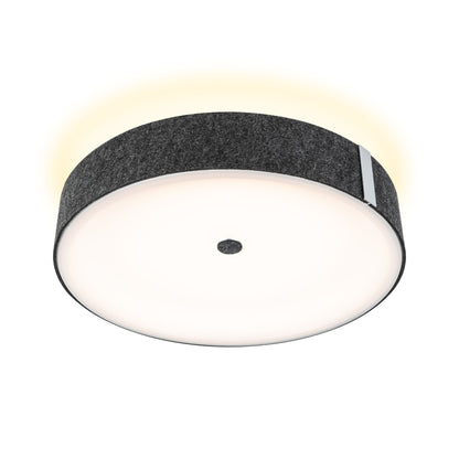 Paulmann LED Deckenleuchte Malika 3-Step-Dim    2700K 2300lm 230V 29W dimmbar Anthrazit