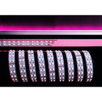 Deko-Light 5050-2x60-24V-RGB+6000K-3m 75W Weiß