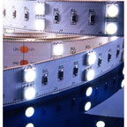 Deko-Light 5050-2x30-12V-6500K-7000K-3m  Weiß