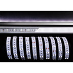 Deko-Light 5050-2x30-12V-6500K-7000K-3m  Weiß