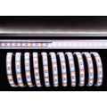 Deko-Light 5050-60-12V-3000K+6500K-5m 50W Weiß