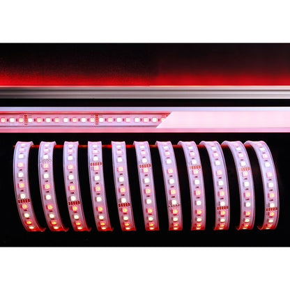 Deko-Light 5050-96-24V-RGB+2800K-5m-Silikon 65W Weiß