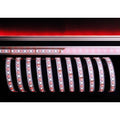 Deko-Light 5050-96-24V-RGB+6200K-5m-Silikon 115W Weiß