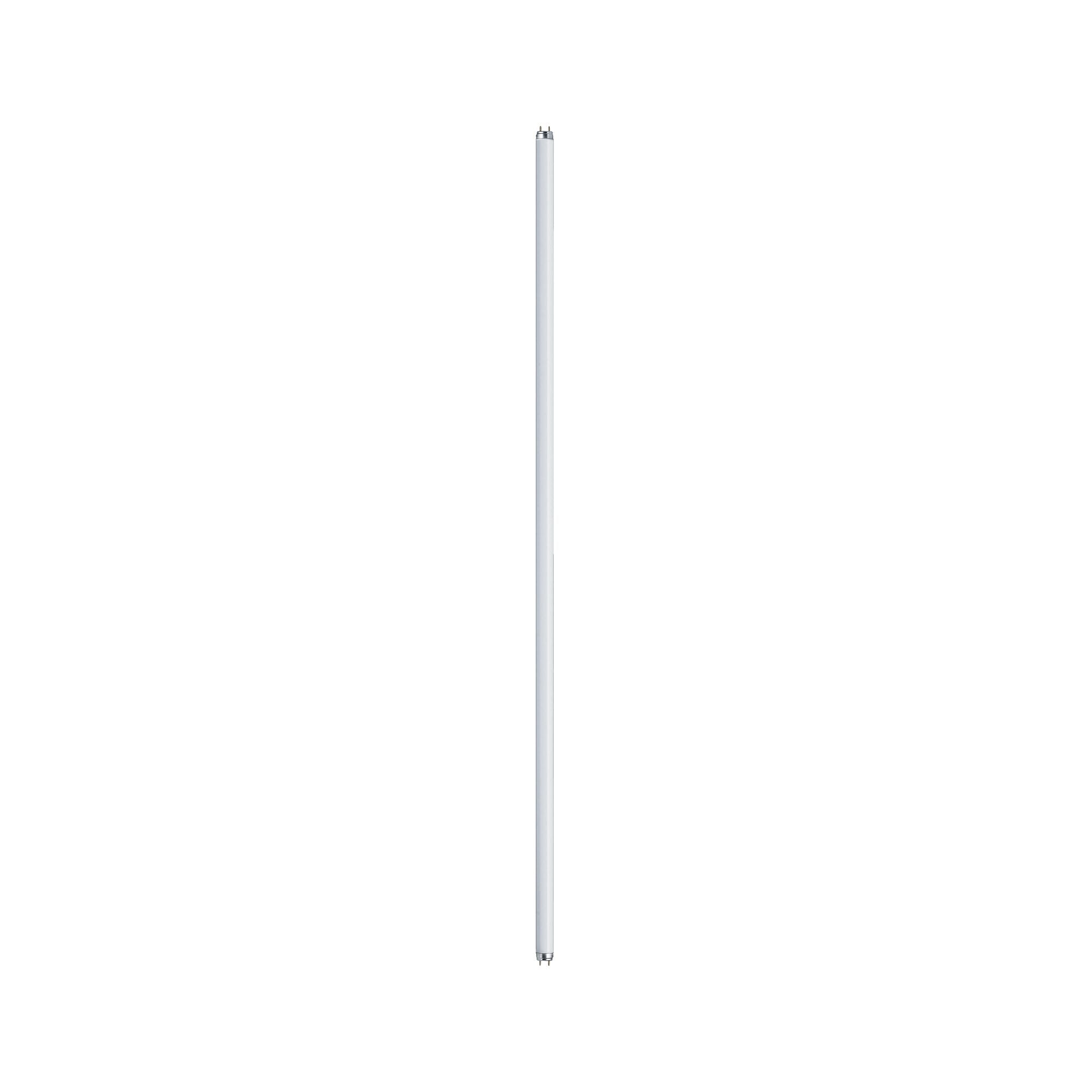 Paulmann Leuchtstofflampe T8 36W G13 1200mm Warmweiß