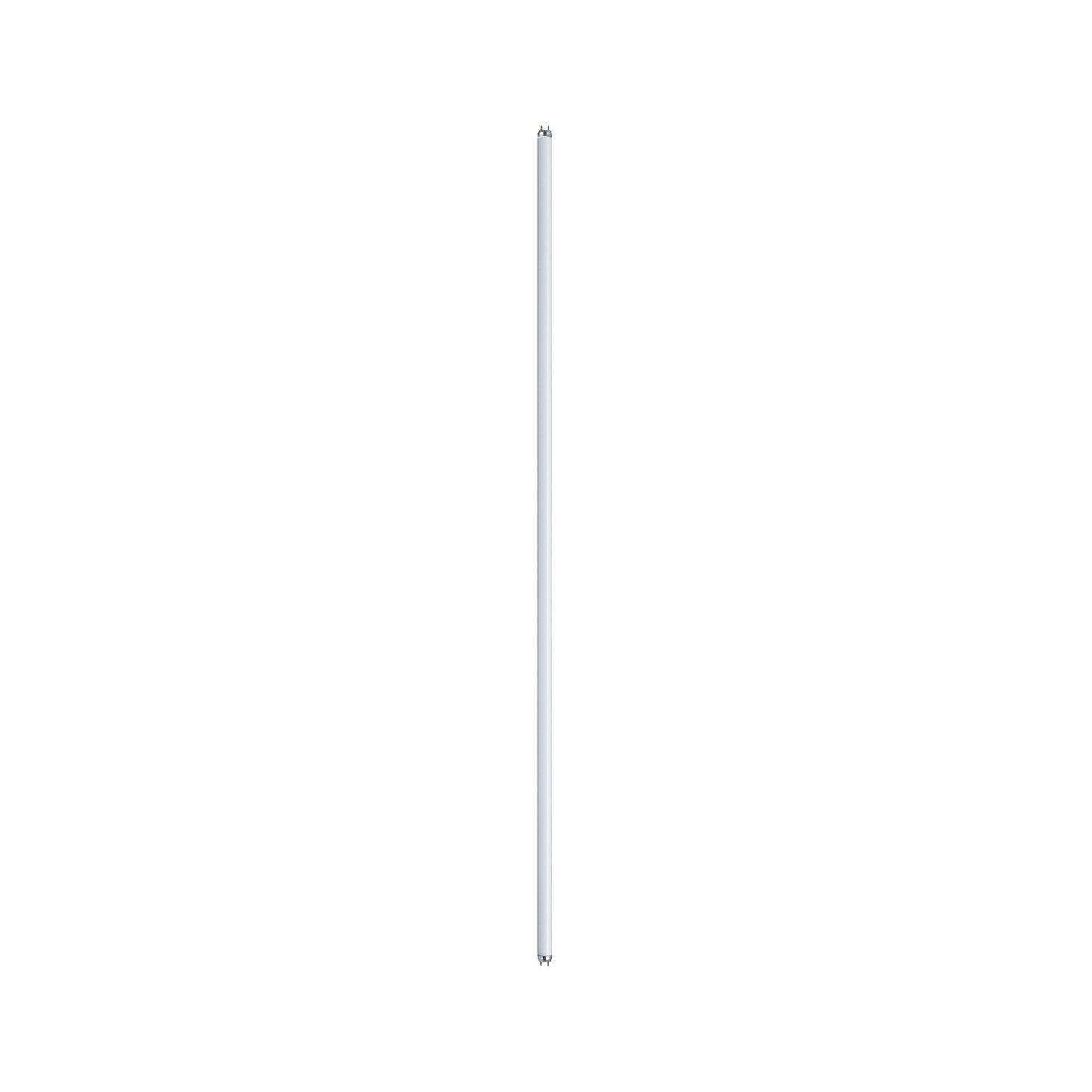Paulmann Leuchtstofflampe T8 58W G13 1500mm Neutralweiß