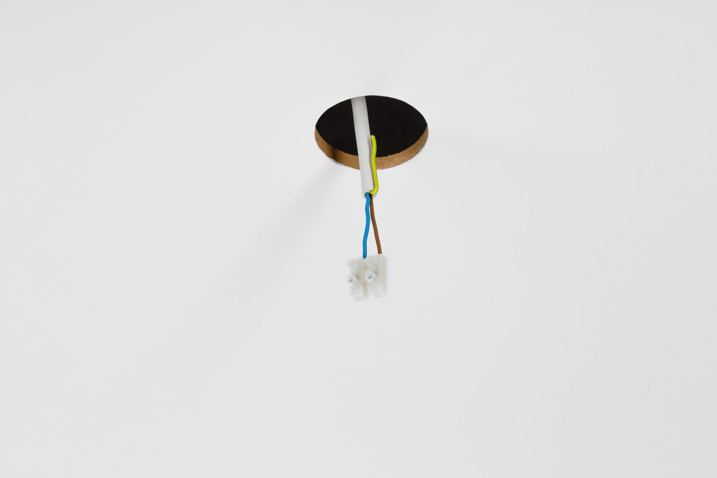 Paulmann Adapter für Pendelleuchten für Einbaudurchmesser 68mm Weiß matt