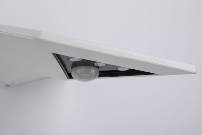 Paulmann Outdoor Solar Wandleuchte Yoko Weiß mit Bewegungsmelder 3000K