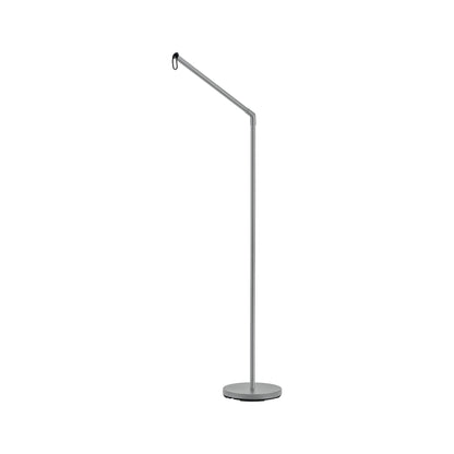 Paulmann Outdoor Mobile Systemleuchte Companion Zubehör Stehl Erdspieß silber grau