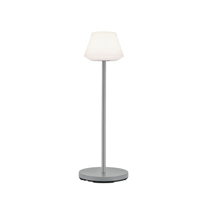Paulmann Outdoor Mobile Systemleuchte Companion Zubehör Stehl Erdspieß silber grau