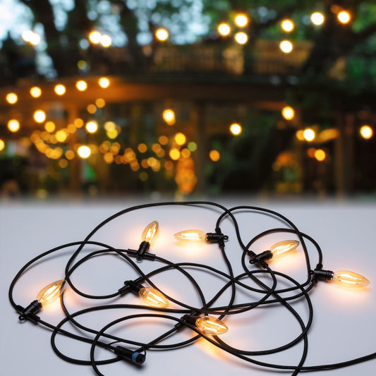 Paulmann Outdoor Plug+Shine Classic Lichterkette 24V IP44 1700K 7x2W