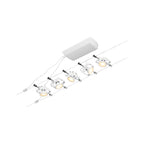 Paulmann Seilsystem Mac II Chrom matt 5 Spots ohne Leuchtmittel max. 5x10W GU5,3 DC 60VA