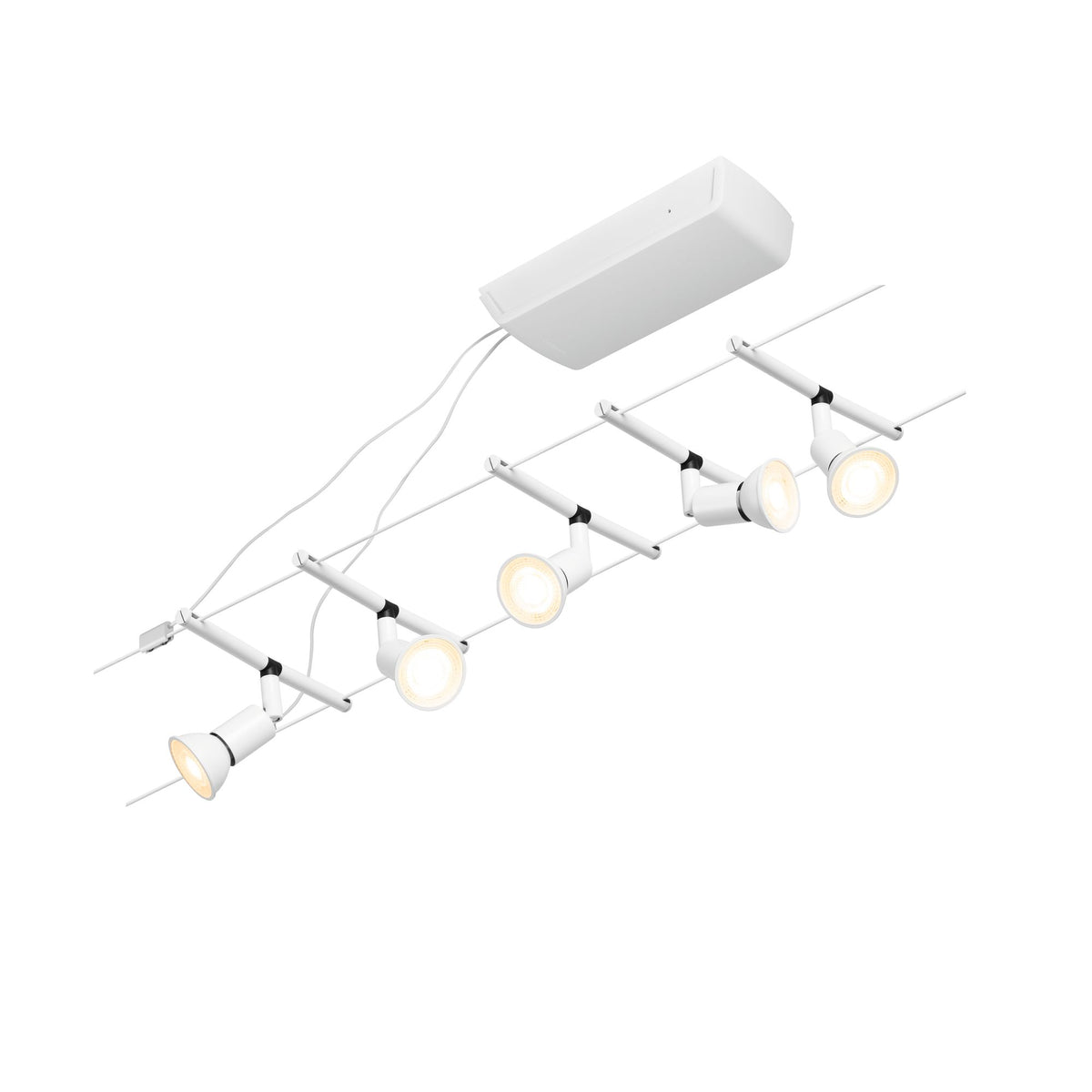Paulmann Seilsystem Salt Chrom matt ohne Leuchtmittel max. 10W GU5,3 DC 60VA