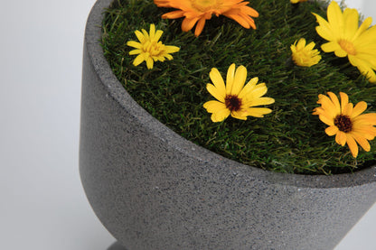 Paulmann Outdoor 230V Lichtobjekt Concrea 6,5W IP44 black 3000K Sandstone Cement