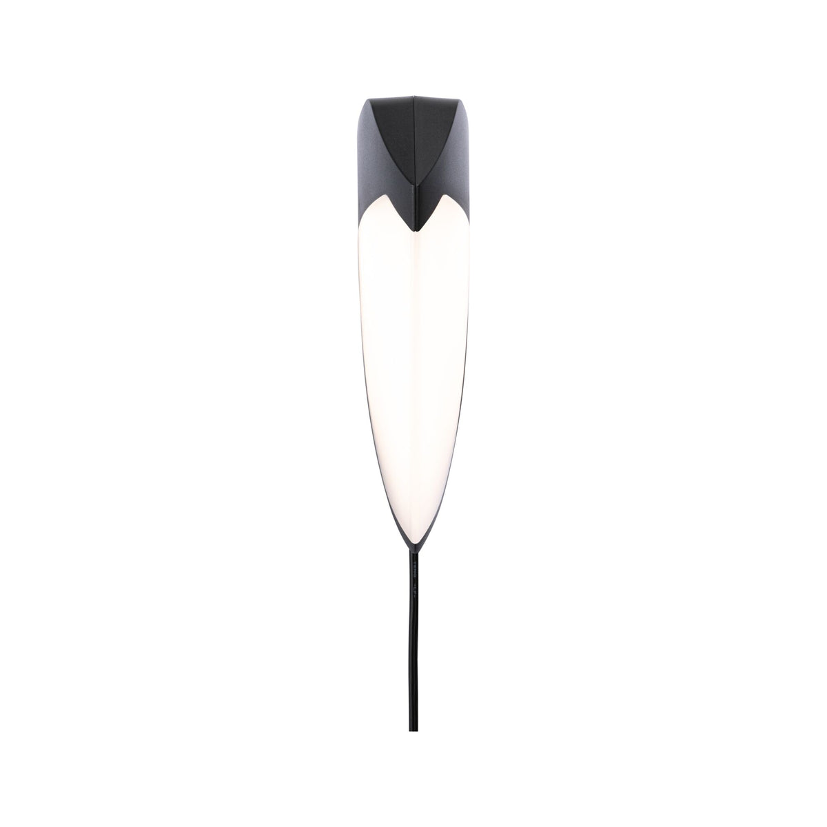 Paulmann Park + Light LED Außenwandleuchte Ikosea ohne Bewegungsmelder IP44  50x203mm 3000K 2x2,8W 2x300lm 12V  Anthrazit Kunststoff