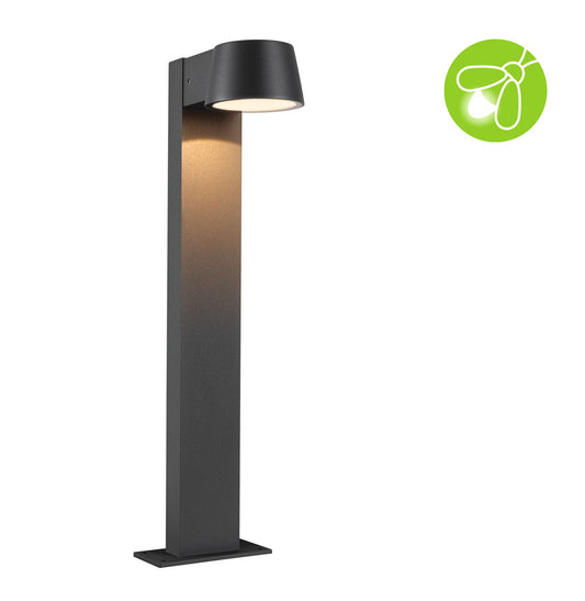 Paulmann LED Pollerleuchte Capea  insektenfreundlich IP44  500mm 2200K 6W 450lm 230V 98° Anthrazit  Aluminium