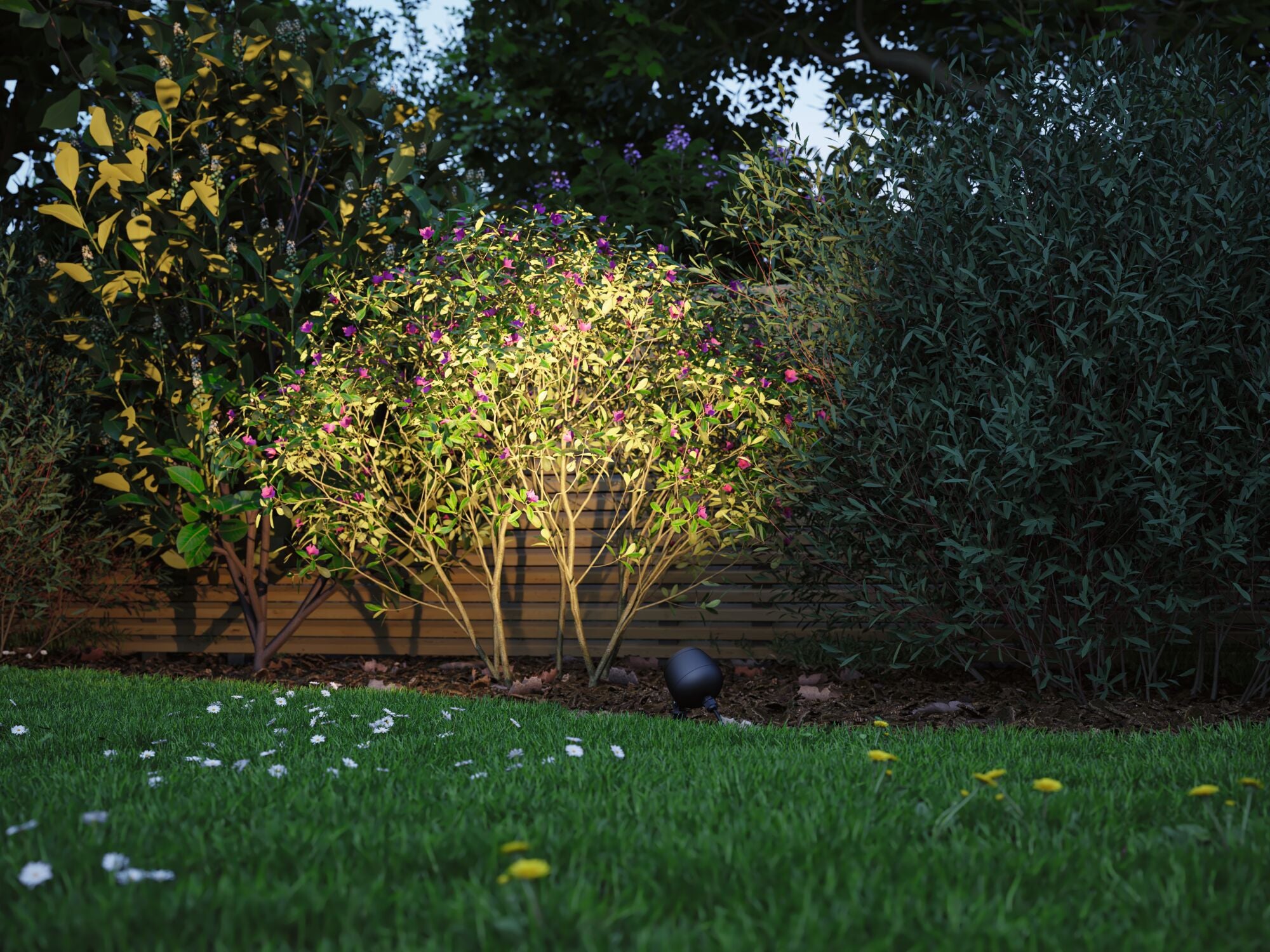Paulmann Plug & Shine LED Gartenstrahler Kikolo  insektenfreundlich IP65 Tunable Warm 6,2W   Anthrazit