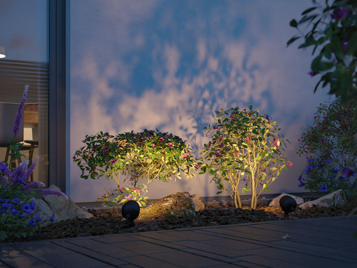Paulmann LED Gartenstrahler Kikolo  insektenfreundlich IP65 Tunable Warm 6,2W   Anthrazit