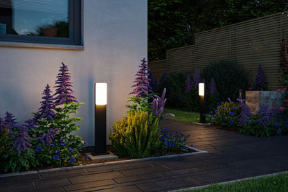 Paulmann LED Pollerleuchte Bonnie IP44  600mm 3000K 8,5W 560lm 230V  Anthrazit  Aluminium